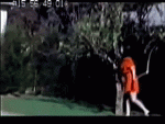 summer_video.gif
