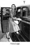 car17.jpg