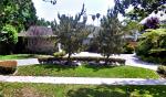 520 North Crescent Drive