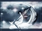 moon_fairy.jpg